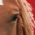 Horse Horse