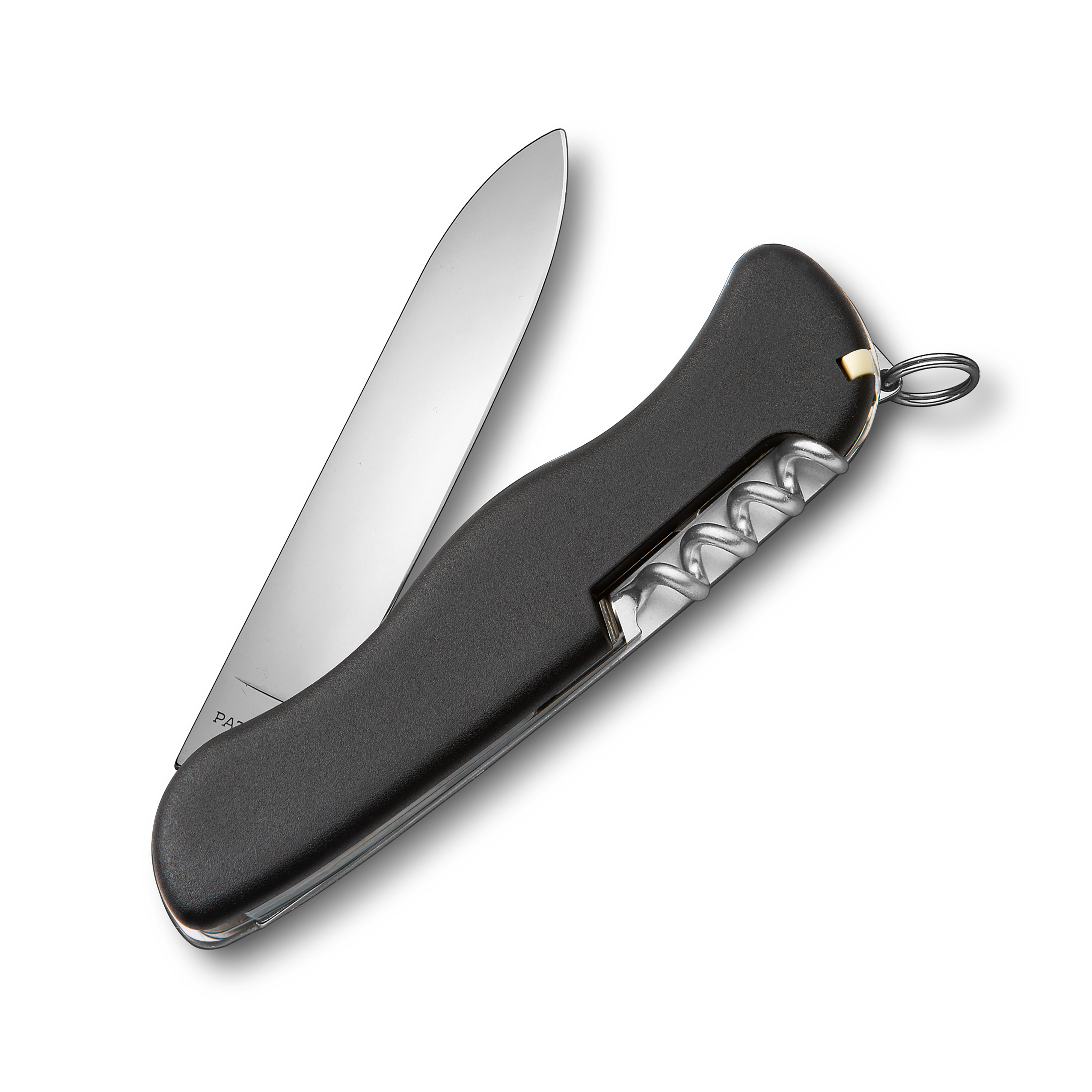 Victorinox Forester schwarz